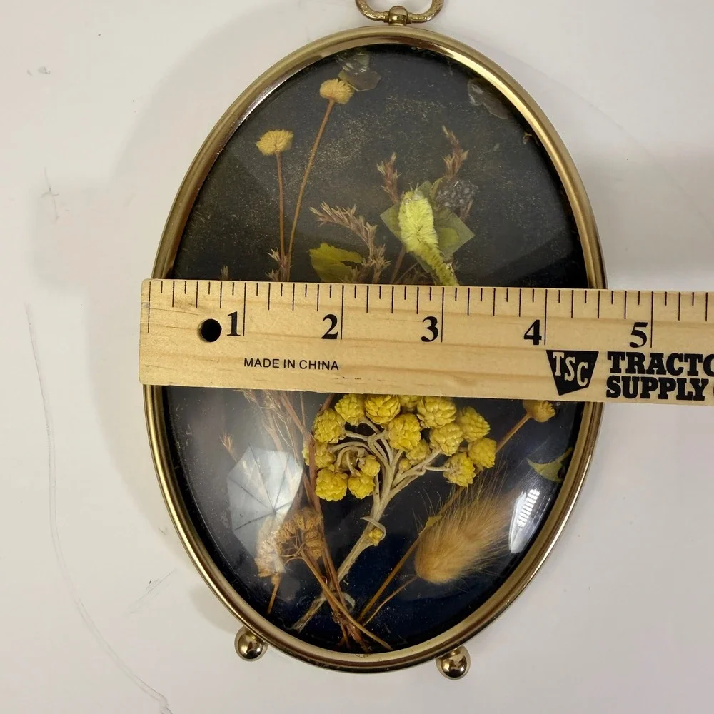 Vintage Oval Brass Shadow Box Set of 3 Dried Flowers Butterflies Cottagecore